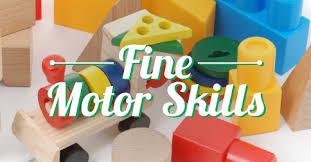 FINE MOTOR